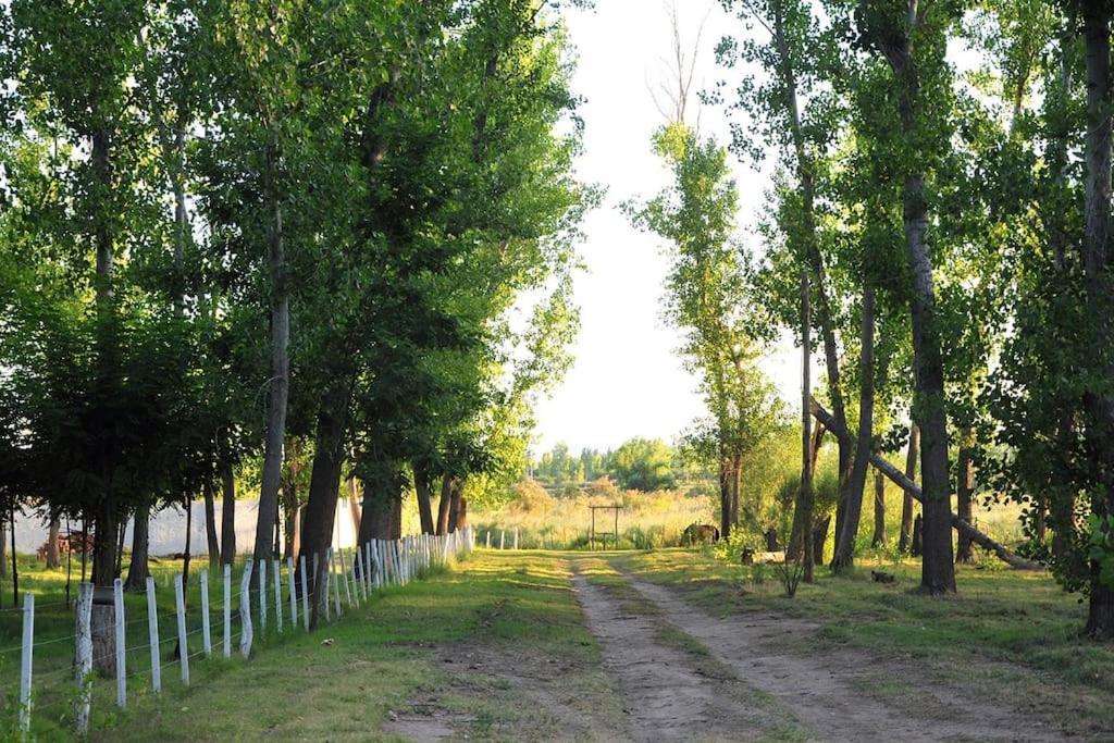 Quinta La Gringa, Holiday home San Rafael (Mendoza)