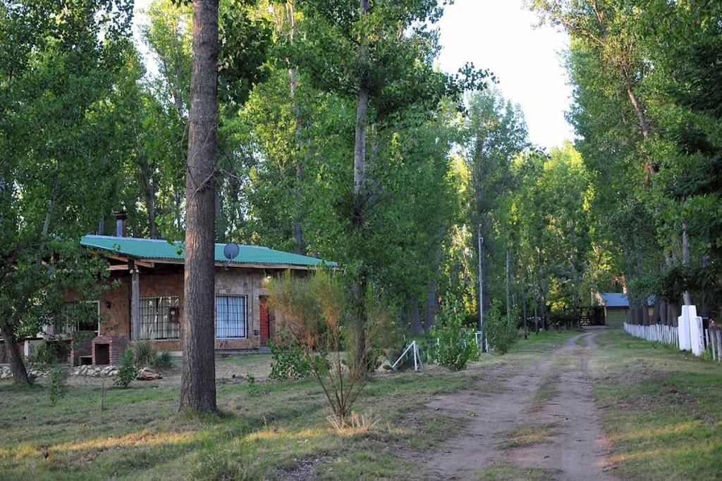Quinta La Gringa, Holiday home
