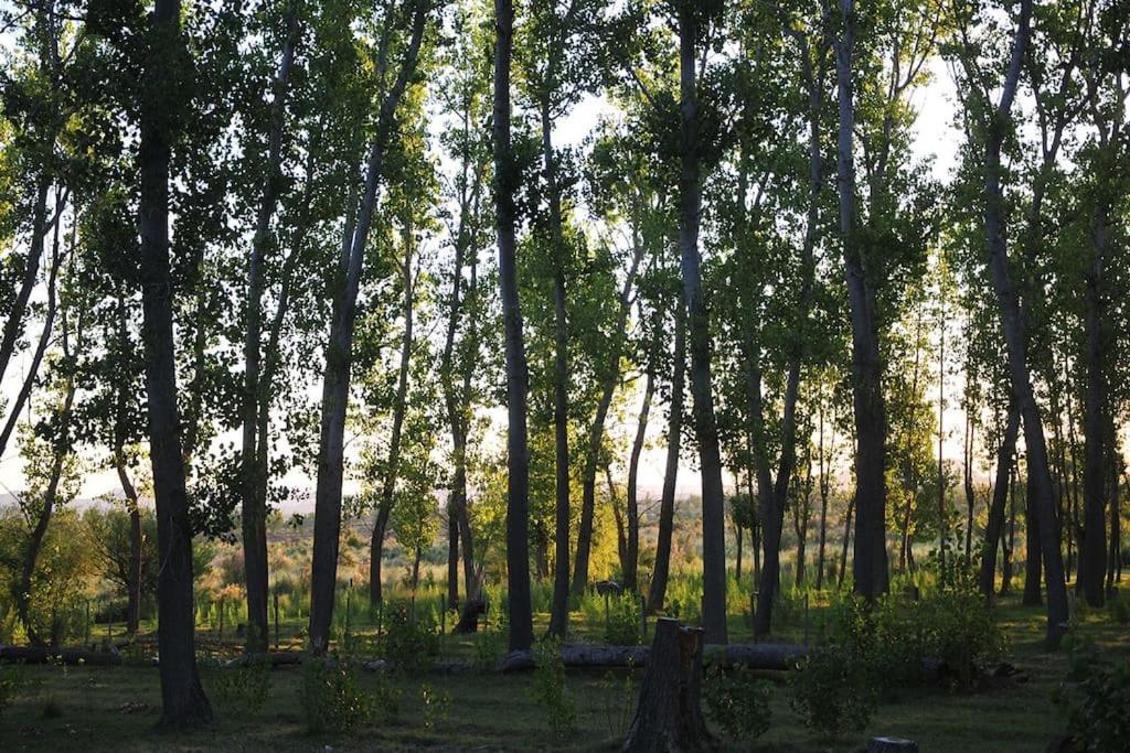 Quinta La Gringa, San Rafael (Mendoza)